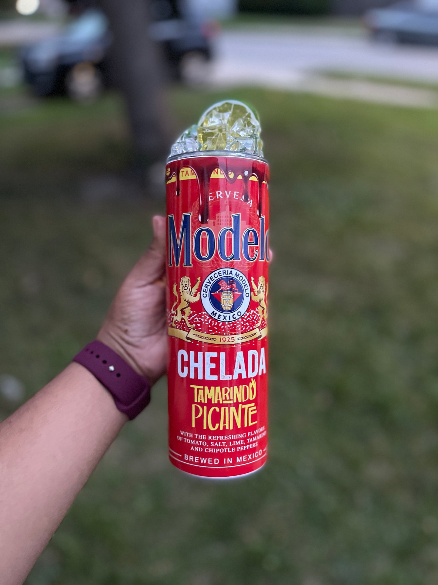 Modelo(michelada)