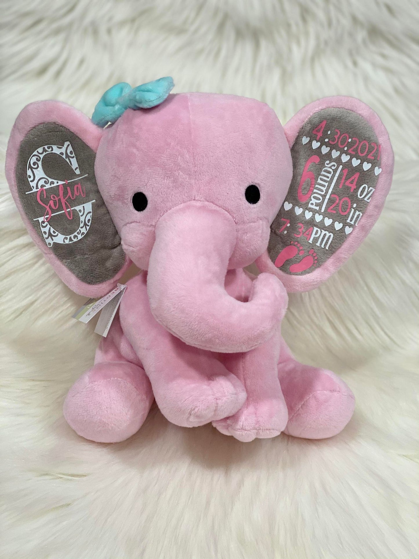baby elephant